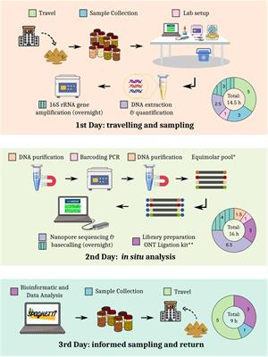 A Round Trip to the Desert: In situ Nanopore Sequencing Informs Targeted Bioprospecting